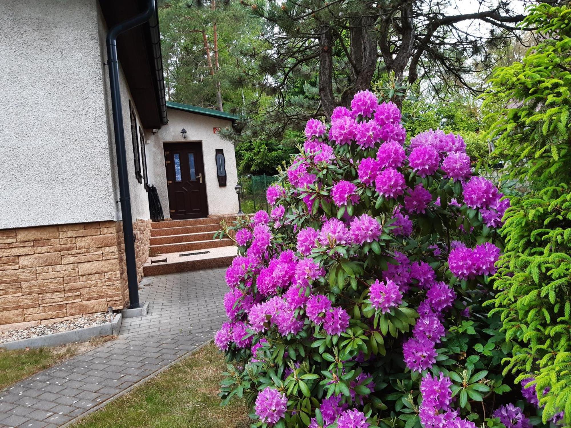 Chata Rynartice 7 Jetřichovice Kültér fotó